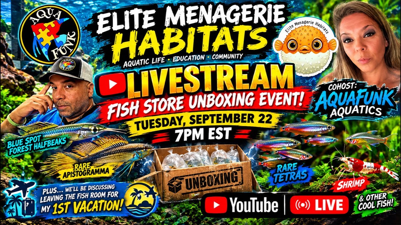 New Freshwater Fish Unboxing! Apistos, Halfbeaks, Loaches & More. And…It’s Vacation Time at EMH 💕