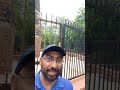 Kos Minar, Delhi zoo