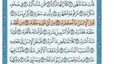 سورة عبس الشيخ جزاع الصويلح المصحف المعلم