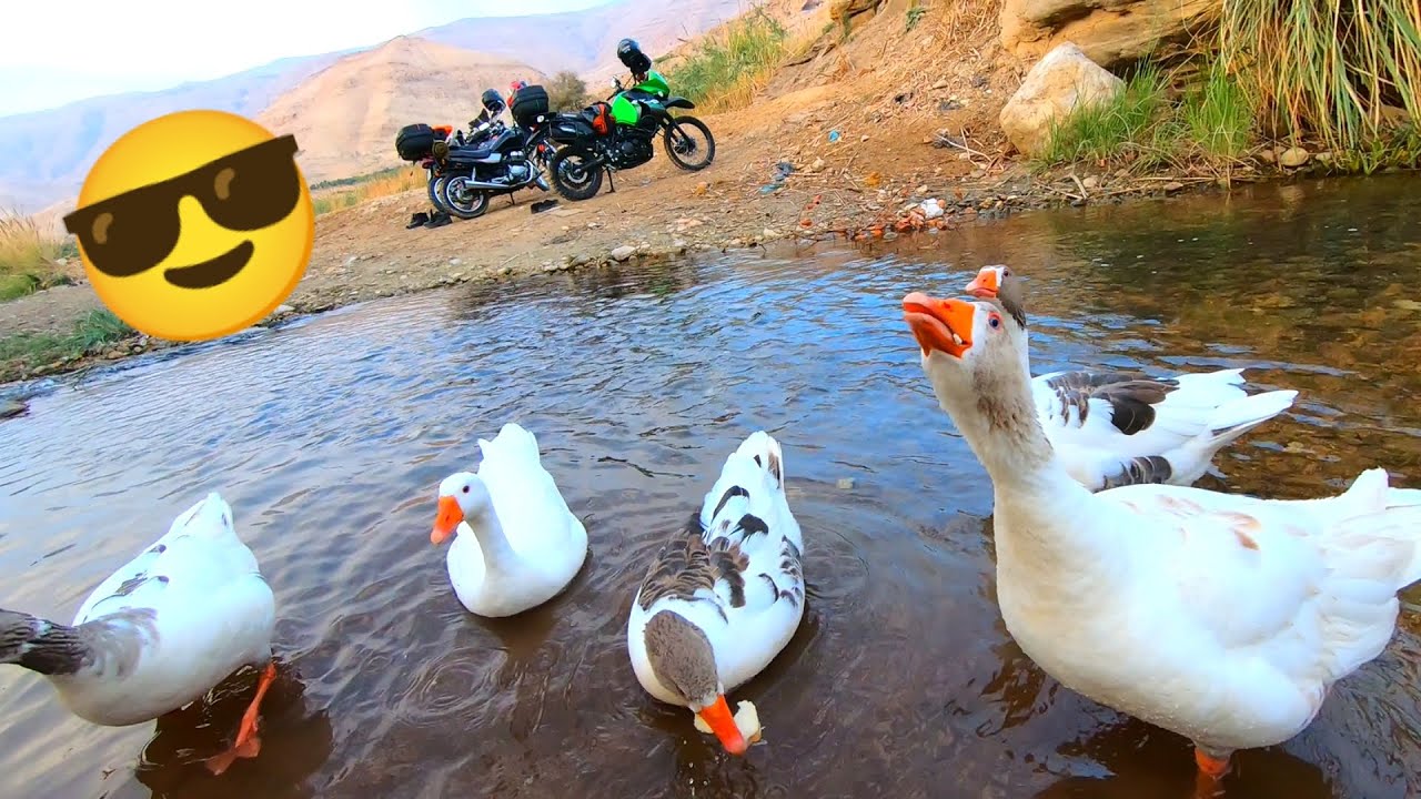 البربيطة | اهلاً بالاجواء الباردة