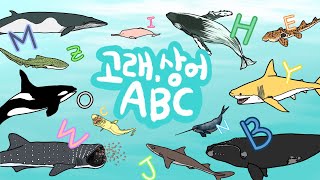 고래상어ABC | Whale and shark ABC Song | Phonics | Learn alphabet with whales and sharks | Kids draw