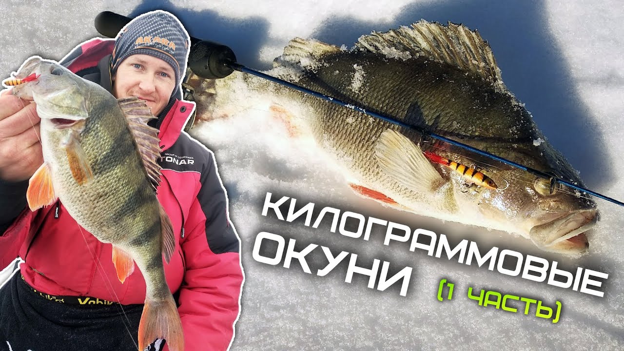 Зимняя рыбалка на оке