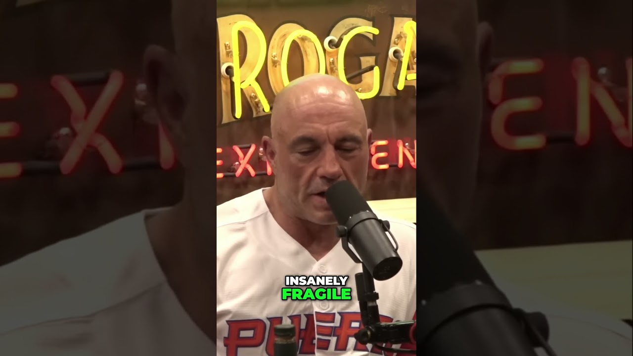 The Fragility of Civilization: A 4.5 Billion Year Perspective