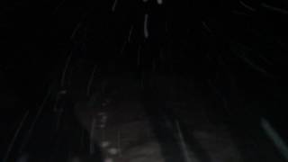 雪が降ってきました グレートピレニーズ greatpyrenees