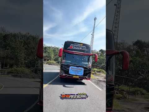 Gacornya “Allena” Nada Viral 12 Not #bus #busmania #shots #basuribussid