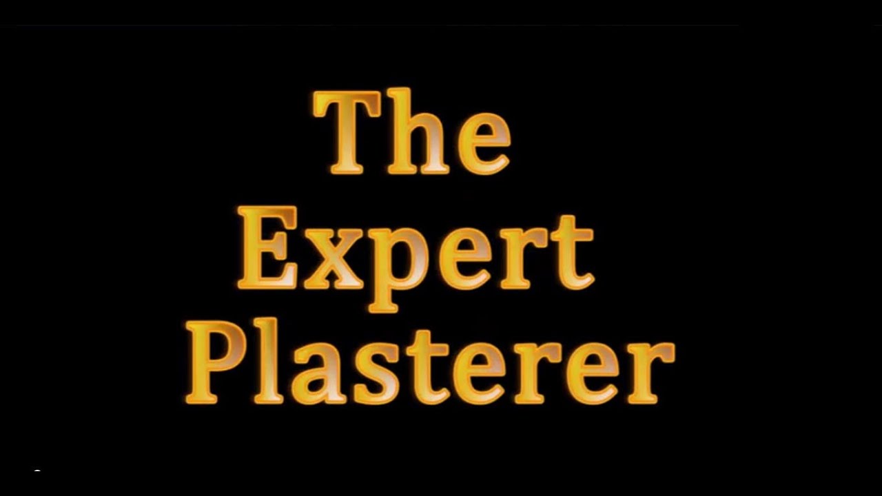 The Expert Plasterer