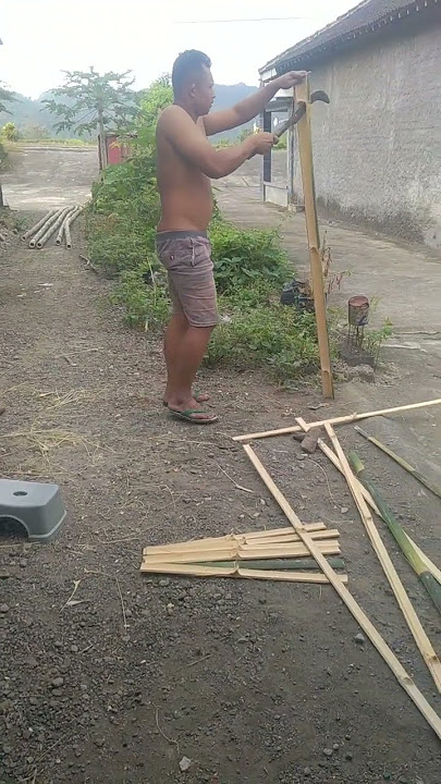 bambu bikin rumah  ayam