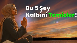 Kalbin İlacı Bu 5 Şeyde Saklı Bin Yıllık Hikmet