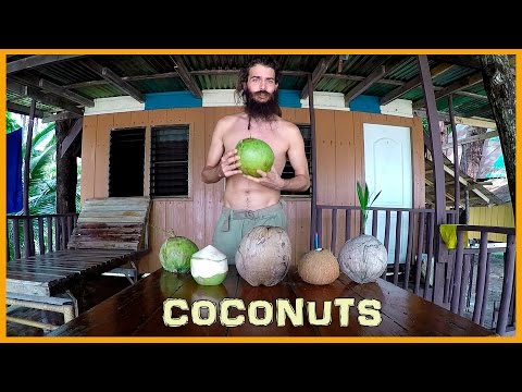 Video: Why Are Coconut Seedling Tablets Good?