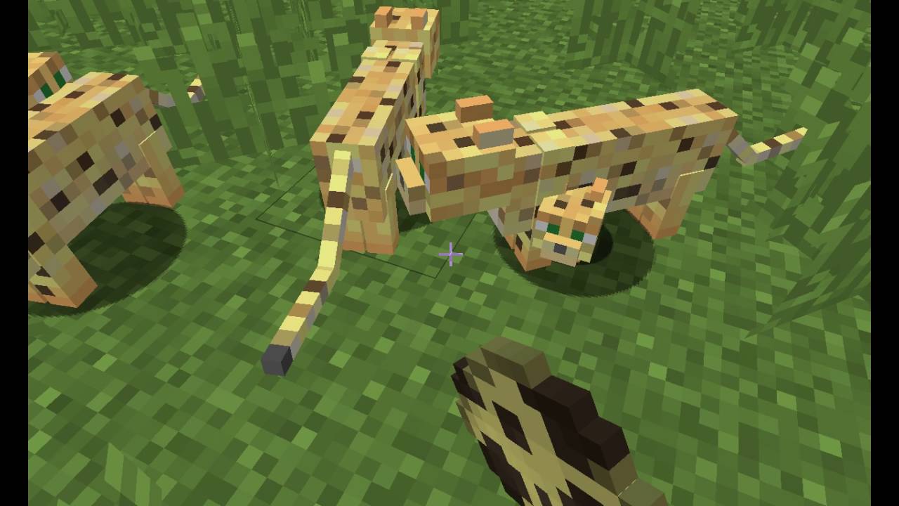 Jak v minecraftu udělat kočku - YouTube