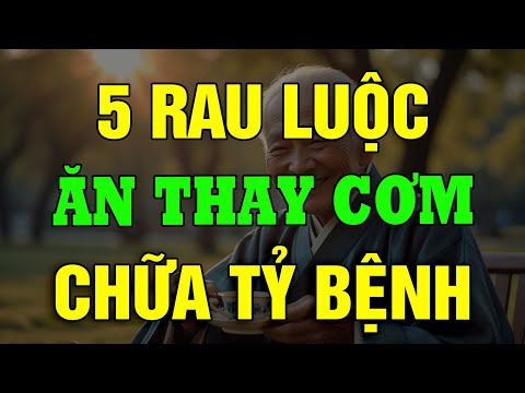 Bác Sĩ Chỉ