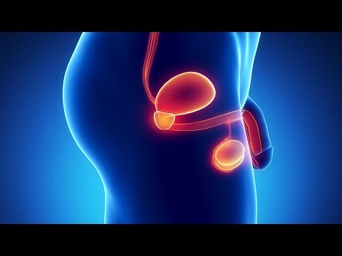 Prostate Enlargement - معلومات صحية عن تضخم البروستاتا - فيديو توضيحي من موقع دكتوري