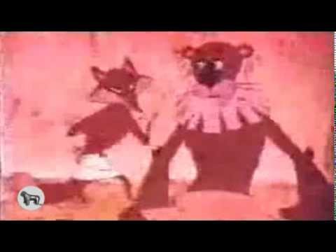 ლომი და კატა