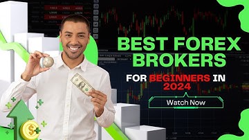 Top 5 Forex Brokers For Beginners in 2024