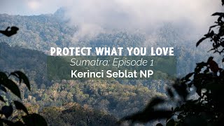 Sumatra Ep 1 Kerinci Seblat National Park