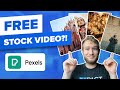 This Stock Video Site is FREE | Pexels Review