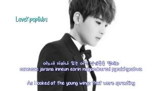 Ryeowook - Maybe Tomorrow [English subs   Romanization   Hangul] HD