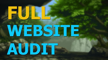 Conduct Comprehensive Website Audit - WowVisible
