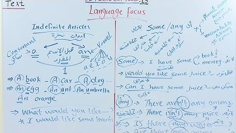 Connect 5, Unit 1, Lesson 3, My Shopping list, Language Focus.