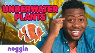 Emmanuel Teaches About Underwater Plants ? ? Noggin Knows: Science | Noggin