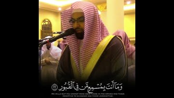 {وما يستوي الأعمى والبصير...} تلاوة عطرة للقارئ الشيخ ناصر القطامي 💐
