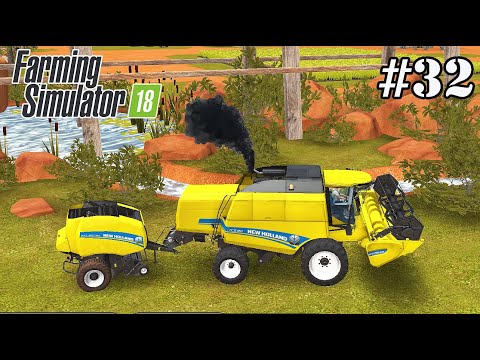 FS 18. Timelapse