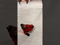 Новогоднее катание детей на коньках