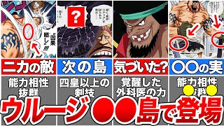 【ワンピース】最悪の世代で唯一登場していないキャラ！大トリとして控えるウルージの正体を徹底解説【ゆっくり解説】