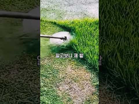 9천만 원에 산 제주도 감귤밭이 2년 만에 9억이 됐는데 이장이 한 말이 충격입니다. thumbnail
