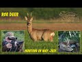 Roe Deer Hunting in May - Croatia, Drnje 2021