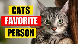Why Do Cats Like Some Humans More Than Others? | Kitten Munch Answers by Kitten Munch 2,220 views 2 months ago 8 minutes, 54 seconds