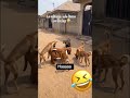 #salazar #umor #se #viral #paratiiiiiiiiiiiiiiiiiiiiiiiiiiiiii