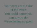 Nine in the AfterNoon - Panic!At the Disco[LYRICS]