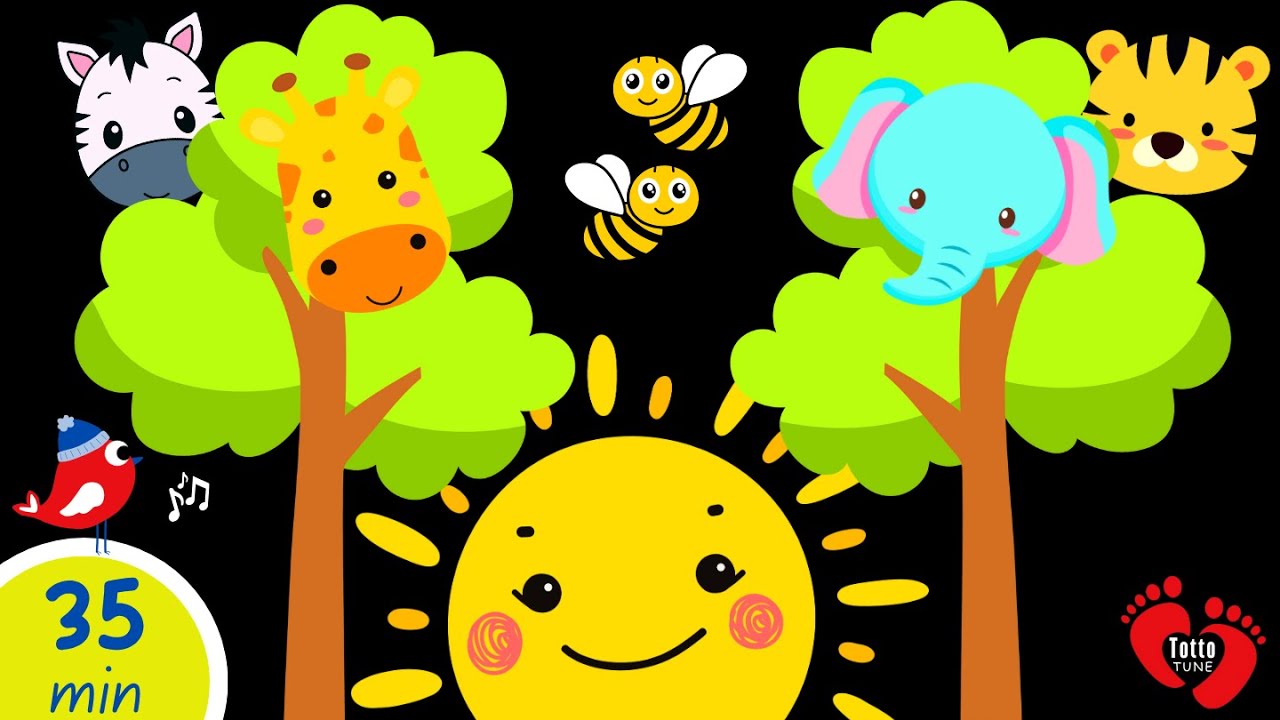 Peekaboo Nature Fun | High Contrast Baby Sensory Adventure with Animal Friends