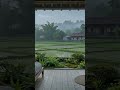 Escape to Yilan for Deep Sleep 🌿 432Hz Healing Rain &amp; Harp #deepsleep #sleepmusic #relaxingmusic