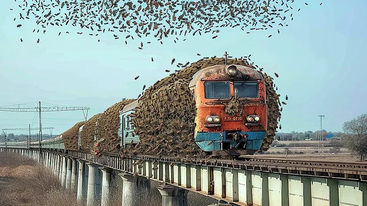 Incredible Moments Caught on Camera | Best of 2025 #2