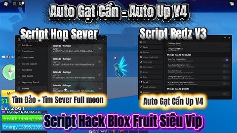 Script Hack Blox Fruit Auto Gạt Cần , Auto Up Tộc V4 , Tự Động Tìm Sever Full Moon Và Có Đảo Bí Ẩn!!