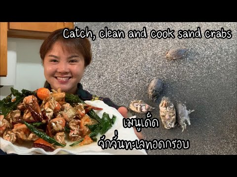 EP.112  Catch,  Clean and Cook Sand Crabs เมนูเด็ด จักจั่นทะเลทอดกรอบ