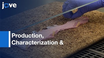 Production, Characterization-3D Tissue-Engineered Human Esophageal Mucosal Model l Protocol Preview