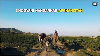 Khogyani | Nangarhar | Afghanistan | HD