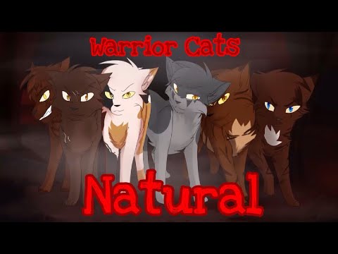 13+] [Natural] Warrior Cats Villains - Animator Tribute 