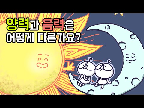 [3분차이] 양력과 음력은 어떻게 다른가요? | 태음태양력