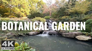 Botanical Garden - Relaxing Waterfall in New York