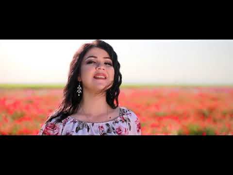 Дилороми Мехр - Хаётам Туи