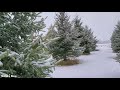 4K Relax with Nature-Beautiful Christmas Music with Snow