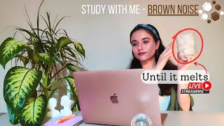 ?️Study Live Until the ICE Melts -Brown Noise#IceChallenge #BrownNoiseFocus #realtimestudysession