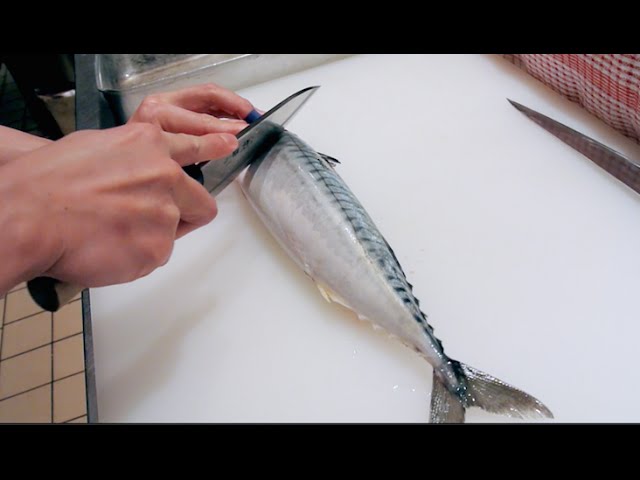 GRAPHIC - How to fillet a fish - Mackerel - Japanese technique - サバのさばき方 class=