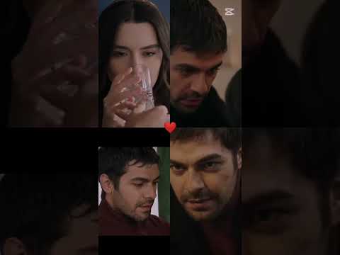 يا ويلي يا ناري خليل وزينب تل الرياح زيهال