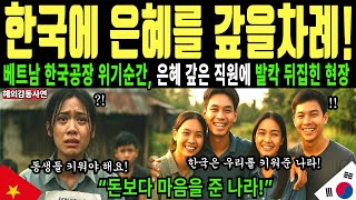 (해외감동사연)가난한 베트남 가족, 한국기업 덕분에 인생이 완전히 달라진 감동이야기