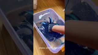 Shopee Potatos Slime